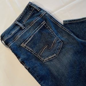 Silver Avery Skinny Jeans Plus Size 16x27